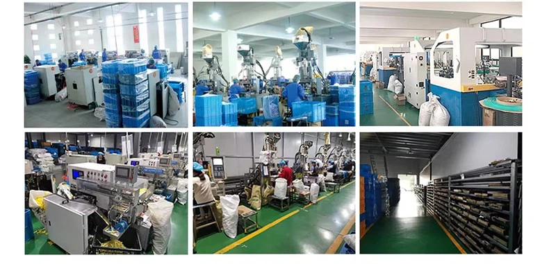 product-790-381 product-790-381